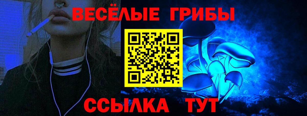 Псилоцибиновые грибы Psilocybine cubensis  Вход с VPN  Белорецк 